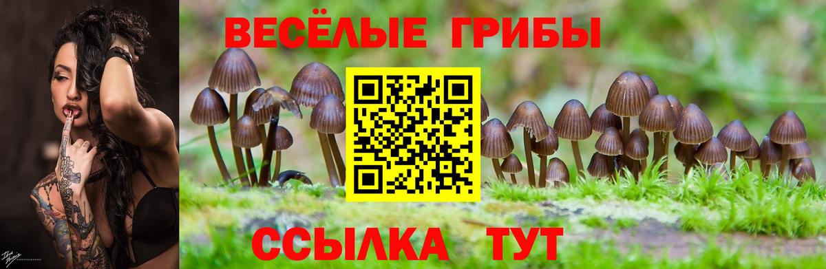 Асбест  Галлюциногенные грибы Psilocybine cubensis  Вход с VPN 